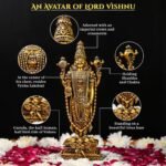 Venkateshwar Balaji Lord Tirupati Balaji Idol Dimension View