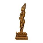 Venkateshwar Balaji Lord Tirupati Balaji Idol Side Angle View